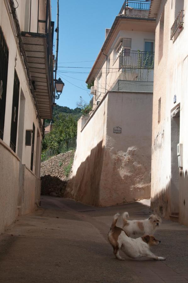 Casa Beatles Del Valle Pinos del Valle Exterior foto